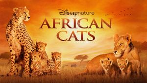 African Cats's poster