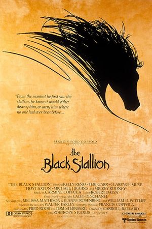 The Black Stallion's poster