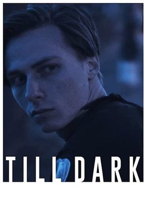 Till Dark's poster
