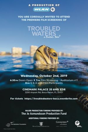 Troubled Waters: A Turtle's Tale's poster image