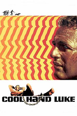 Cool Hand Luke's poster