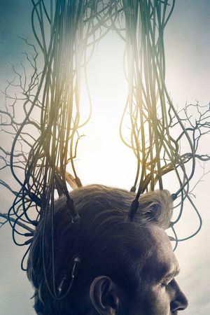 The Discovery's poster