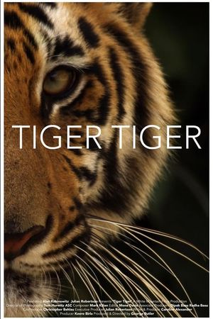 Tiger Tiger's poster image