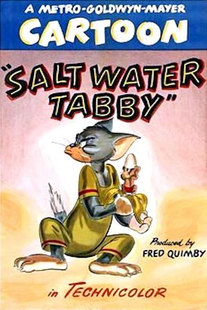 Salt Water Tabby's poster