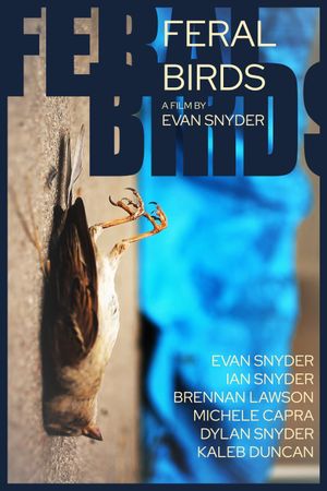 Feral Birds's poster