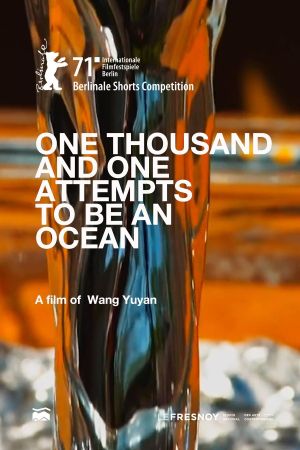 One Thousand and One Attempts to Be an Ocean's poster