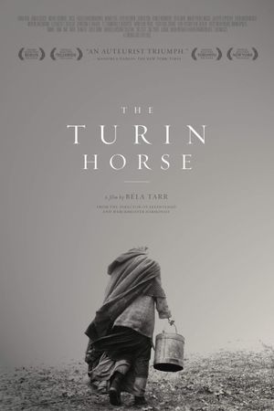 The Turin Horse's poster