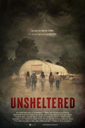 Unsheltered's poster image