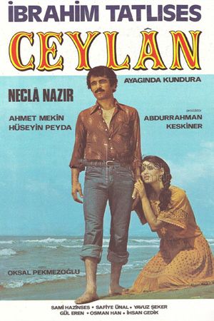 Ceylan's poster