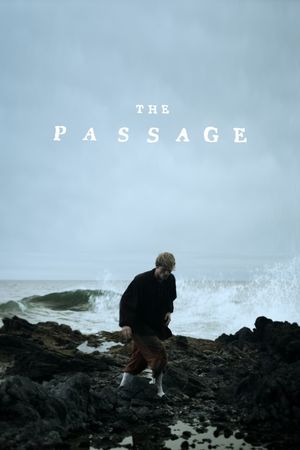 The Passage's poster