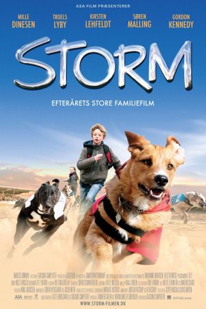 Storm's poster