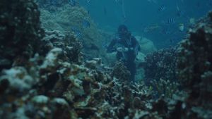 The Young Man and the Deep Sea's poster