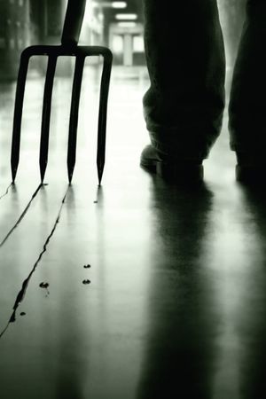 The Crazies's poster