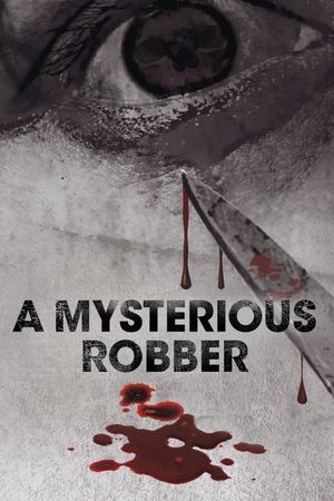 A Mysterious Robber's poster