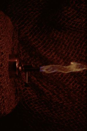 The Spirit Lamp's poster