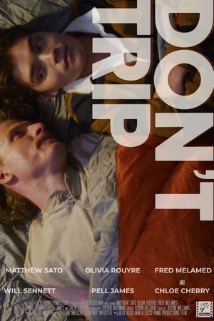Don't Trip's poster