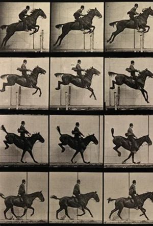 Eadweard Muybridge, Zoopraxographer's poster