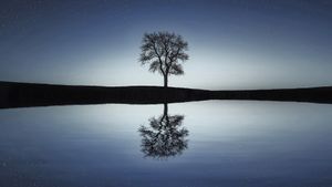 Deepak Chopra: Secrets of Enlightenment's poster