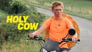 Holy Cow's poster