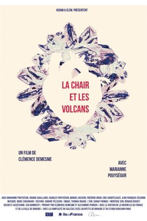 Flesh and Volcanoes's poster