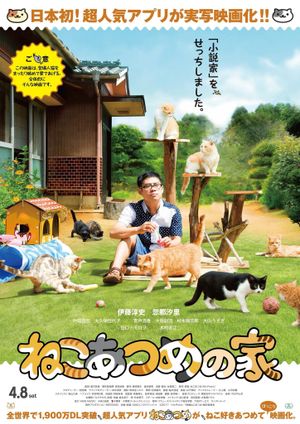 Neko Atsume House's poster