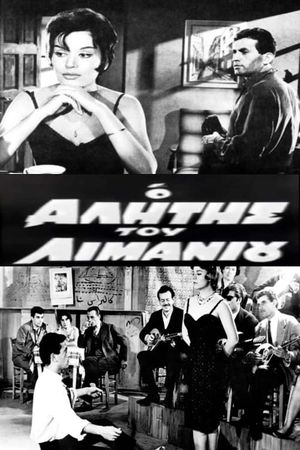The House of Pleasures's poster