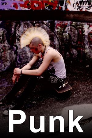 Punk's poster image