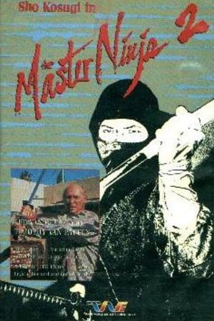 Master Ninja II's poster