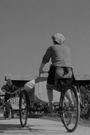 Laundresses from Bizovik's poster