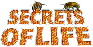 Secrets of Life's poster