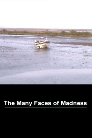 The Many Faces of Madness's poster