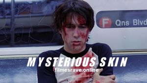 Mysterious Skin's poster