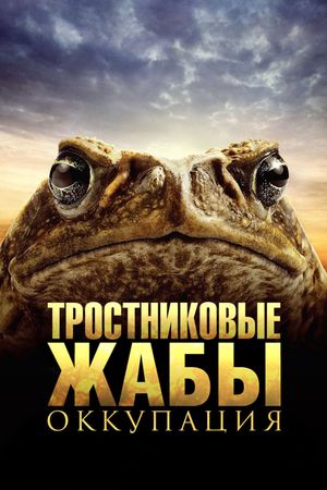 Cane Toads: The Conquest's poster