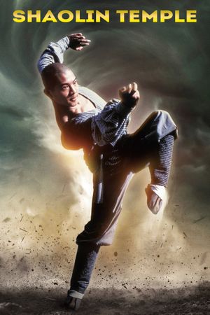 The Shaolin Temple's poster