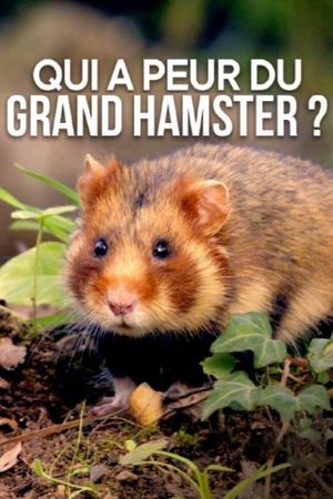 Qui a peur du grand hamster ?'s poster