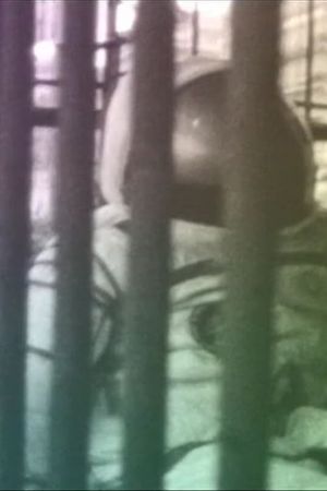 On The Good Earth's poster