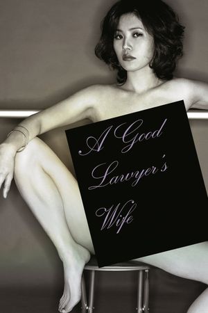 A Good Lawyer's Wife's poster image