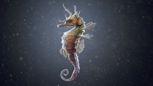 The Seahorse Trainer's poster