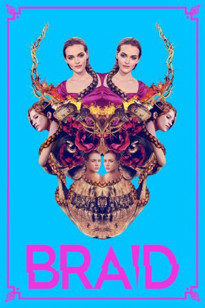 Braid's poster