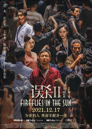 Fireflies in the Sun's poster