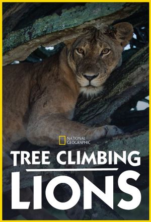 Tree Climbing Lions's poster