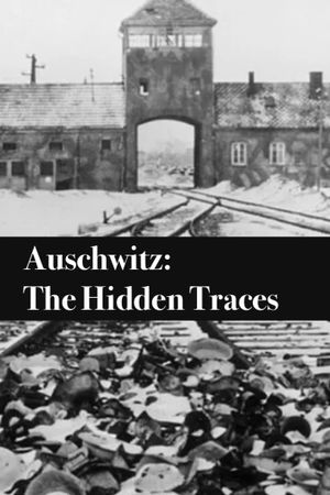 Auschwitz: The Hidden Traces's poster image