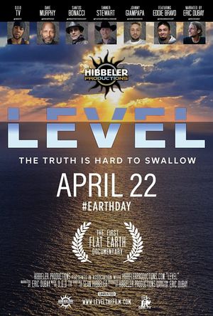 Level's poster image