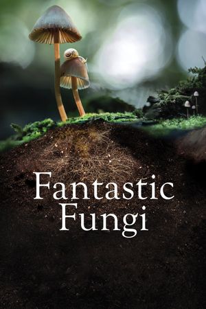Fantastic Fungi's poster