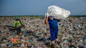 The Story of Plastic's poster