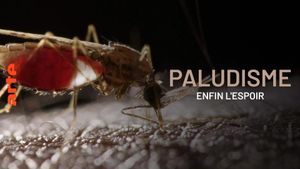 Paludisme, enfin l'espoir's poster