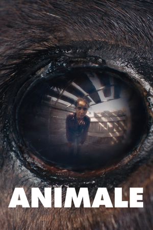 Animale's poster
