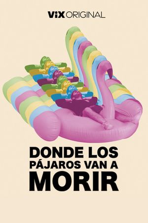 Donde los pájaros van a morir's poster