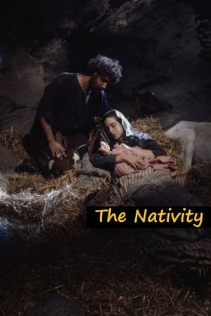 The Nativity's poster image