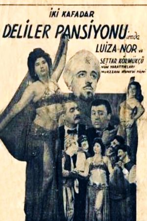 Iki Kafadar: Deliler Pansiyonu'nda's poster